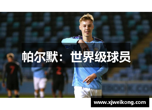 帕尔默：世界级球员